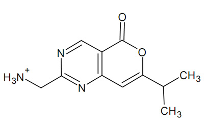 New small molecule